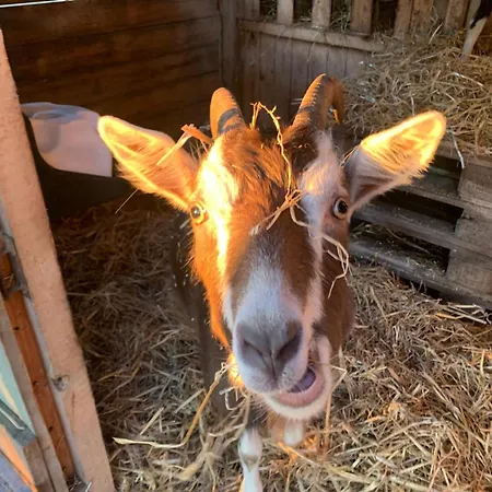 Apartmán Ruhige Am Roggenkamp