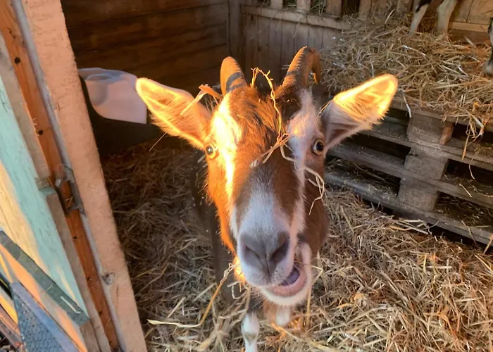 Daire Ruhige Am Roggenkamp